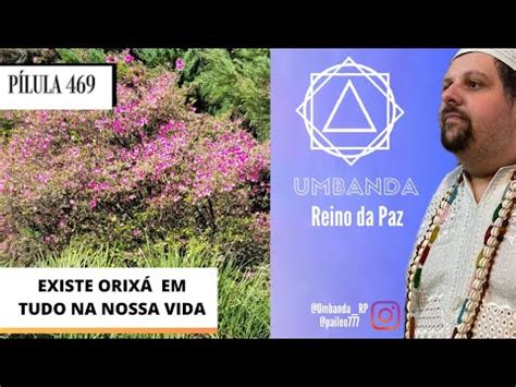 469 PÍLULA DE UMBANDA Existe Orixá em Tudo YouTube