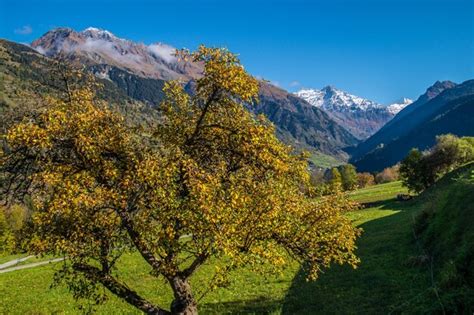 Paisaje De Los Alpes Suizos En Oto O Foto Premium