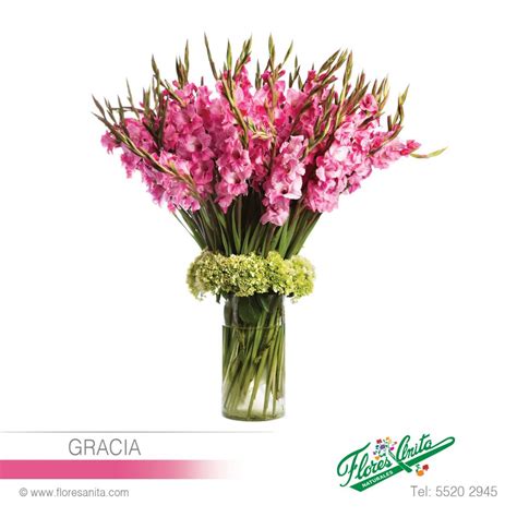 Top 100 Arreglos Florales Con Gladiolas Abzlocal Mx