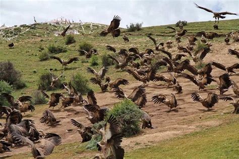 Sky Burial, Sky Burial Video