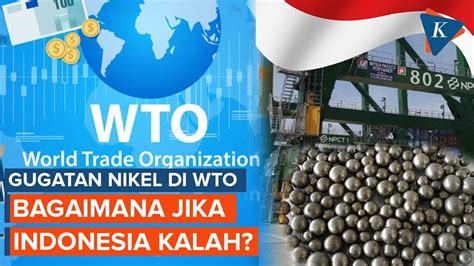 Apa Yang Terjadi Jika Indonesia Kalah Gugatan Soal Nikel Di Wto Youtube