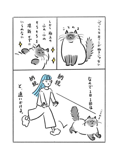 スーパー猫の日、との事で、以前描いたマイラブ ️ぷっくん漫画を再掲。 Mayuko Sase ほぼイラストと猫🐾 さんのマンガ