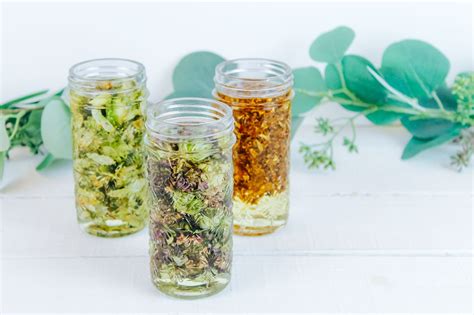 How To Make Herbal Infused Oil Wholemade Homestead