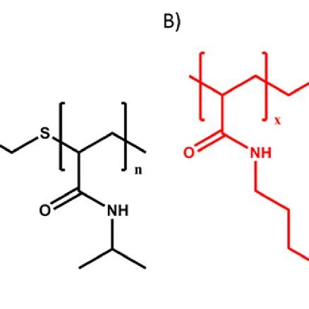 Molecular Structure Of A Paa G Pnipam And B Pdmapaa G Pnipam The