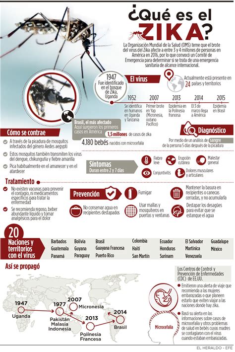 Radiografía del zika virus que se ensaña con la Región Caribe El Heraldo