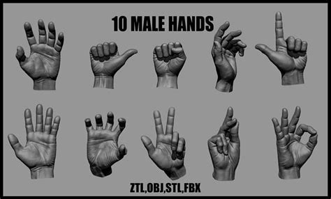 Male hand poses - ZBrushCentral