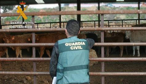 Investigado Por La Guardia Civil De Zamora Tras Robarle La Identidad A