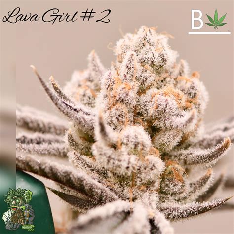 Lava Girl #1 - King Kong Clones