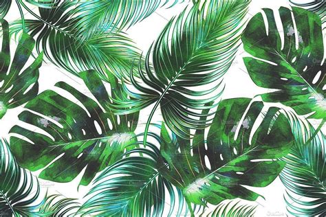 Tropical Leaves Wallpapers Top Free Tropical Leaves Backgrounds Wallpaperaccess