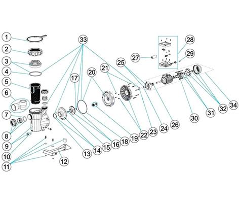 Spare Parts For Astralpool Victoria Plus Pump