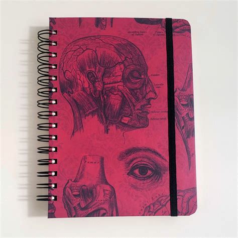 Caderno Sketchbook Para Aquarela Anatomia Vermelho 50 Folhas A5 240g