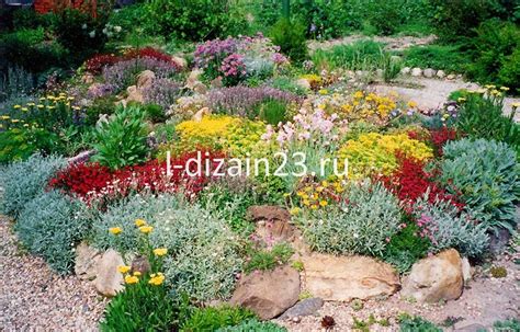 Миксбордеры | SMS LANDSCAPE DESING