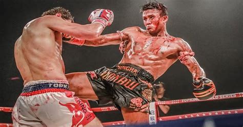 Buakaw Banchamek A Lotus Branca” Do Muay Thai Muay Thai