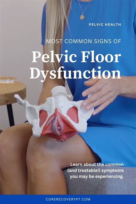 The Most Common Pelvic Floor Muscle Problem Is Muscle Spasm A Muscle