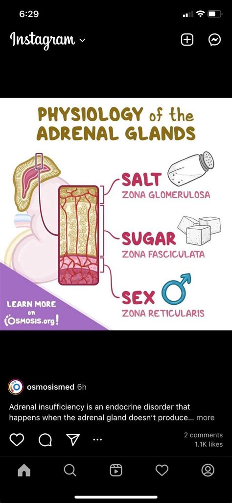 “salt Sex And Sugar” Does Sounds Like An 80s Rock Band Imo R Medicalschool