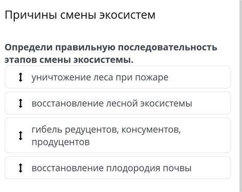 СРОЧНО Причины смены экосистем уничтожение леса при пожаре ...
