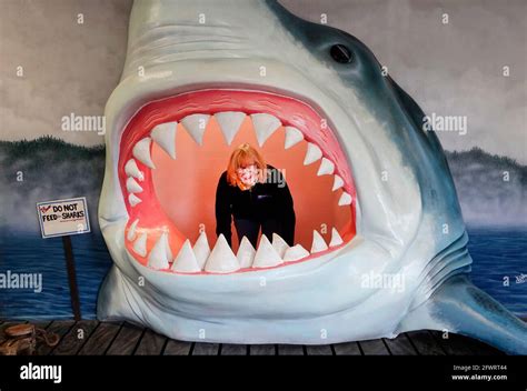 Megalodon Shark Vs Great White Shark Jaws