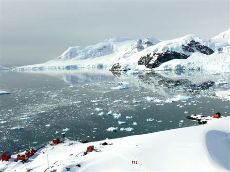 Ross Sea & East Antarctica Cruises | Swoop Travel