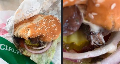 Exhiben Cucaracha Dentro De Hamburguesa De Carls Jr Con Acento