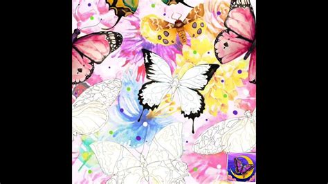 How To Drawing Butterfly 🦋🦋 Beautiful Colours ️ Painting 🖌️🎨 Youtube