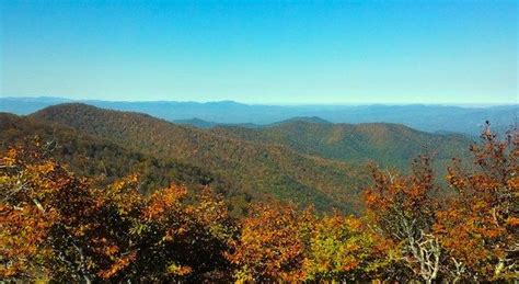 Beautiful Fall Foliage Seen from Mount Mitchell. Check out the Fall ...