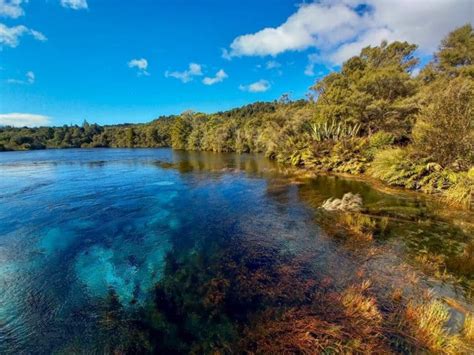 Discover The Best Things To Do In Golden Bay New Zealand