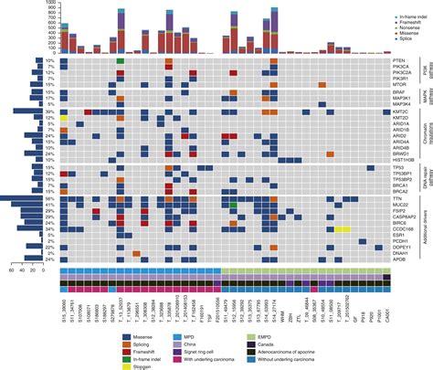 Whole Exome Sequencing Reveals Frequent Mutations In Chromatin