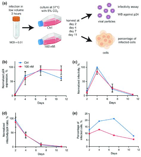 Kinetics of HIV-1 infection of Jurkat cells in control (Ctrl) or 100 nM ... 