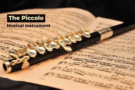 Piccolo A Musical Instruments Phamox Music