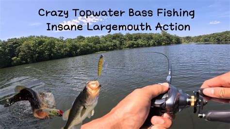 Crazy Topwater Bass Fishing Insane Largemouth Action Youtube