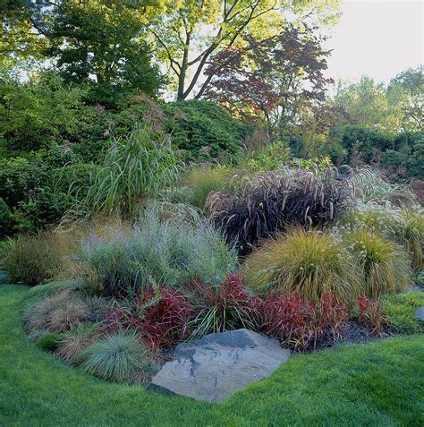 Ornamental Grasses In Border By Richard Felber