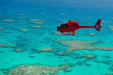 Cairns Reef Tour Pontoons Interactive Platform Great Barrier Reef