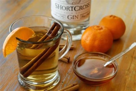 Weihnachtscocktail Mit Gin Unsere Top Rezepte F R Festliche Drinks F R