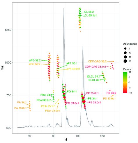 Base Peak Chromatogram Of Hilic Based Lc Ms Analysis Of Wild Type E Download Scientific