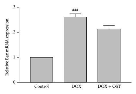 The Effect Of Osthole On A Bax B Bcl Mrna Expression And C