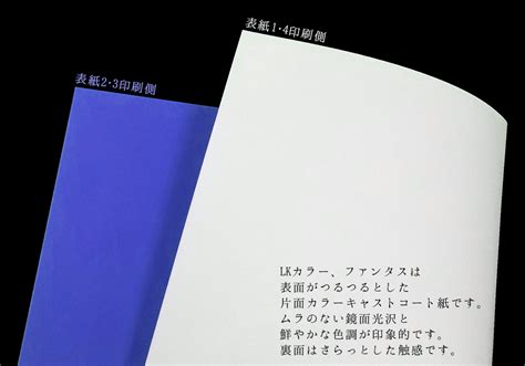 王様のppセットワンポイント箔押し・本文色刷り 冊子印刷 同人誌印刷と同人グッズ印刷ならオレンジ工房com！