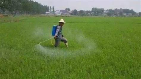 除草剂 用于除草的化学药剂 搜狗百科