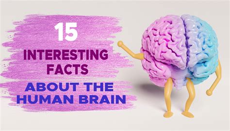 15 Interesting Facts About The Human Brain Surgmedia