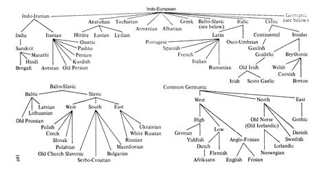 Language Tree Google Search Language European Day Of Languages