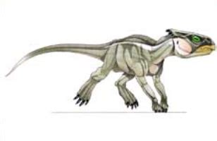 Chaoyangsaurus | Dinopedia | Fandom