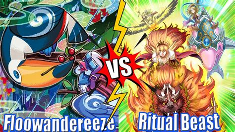 Floowandereeze Vs Ritual Beast High Rated Db Yu Gi Oh Youtube