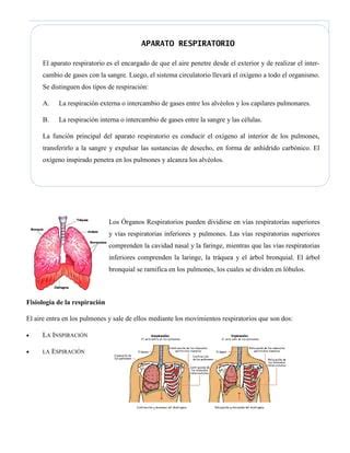 Sistema Cardiorespiratorio PDF