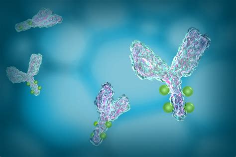 Antibody–drug conjugates | Bioanalysis Zone