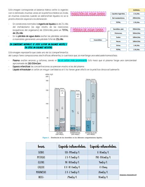 Solution L Quidos Endovenos Y Trastornos Hidroelectrol Ticos Studypool