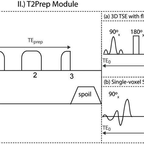 A Pulse Sequence Diagram Of The Spair T 2 Prepared 3d Tse Including