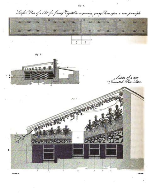 Wa F Loudon Garden History Greenhouse