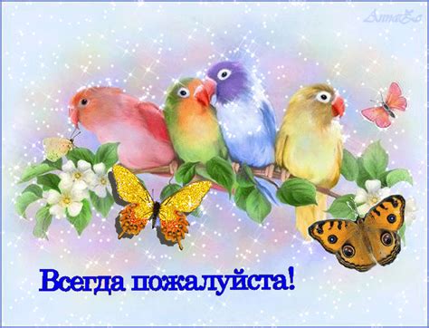 Картинка с надписями всегда пожалуйста - открытка пожалуйста ...