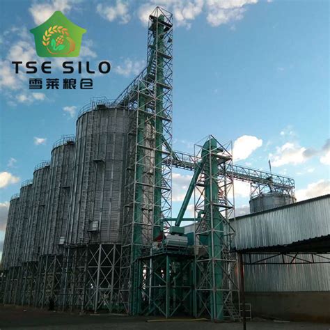 Durable Belt System Grain Silo Bucket Elevator With Best Price China