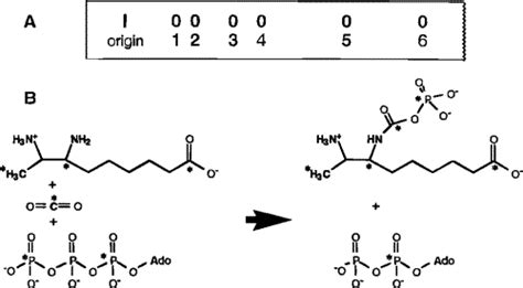 Mixed Anhydride