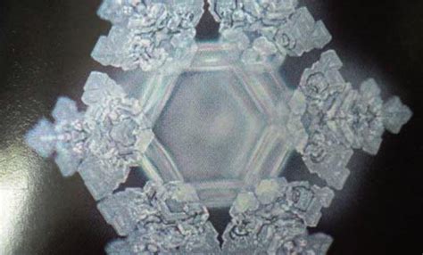 Dr. Masaru Emoto's Water Experiment | Motherhaus LLC